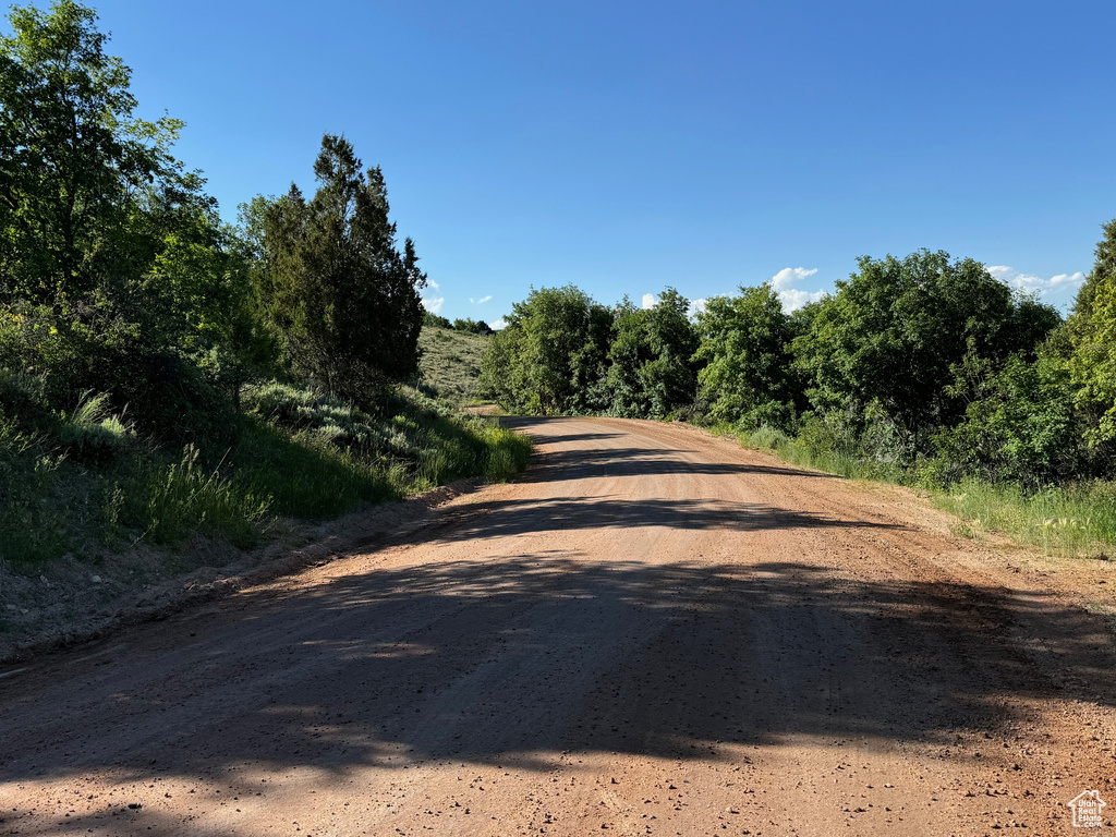 View of road