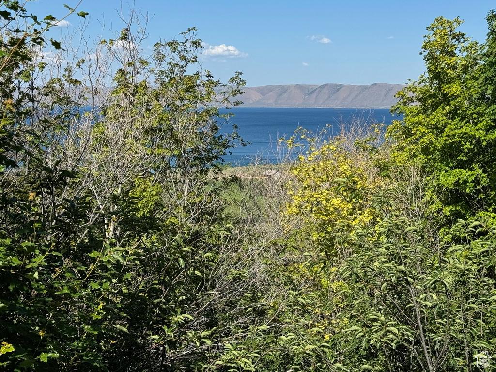 View of water feature featuring a mountain view