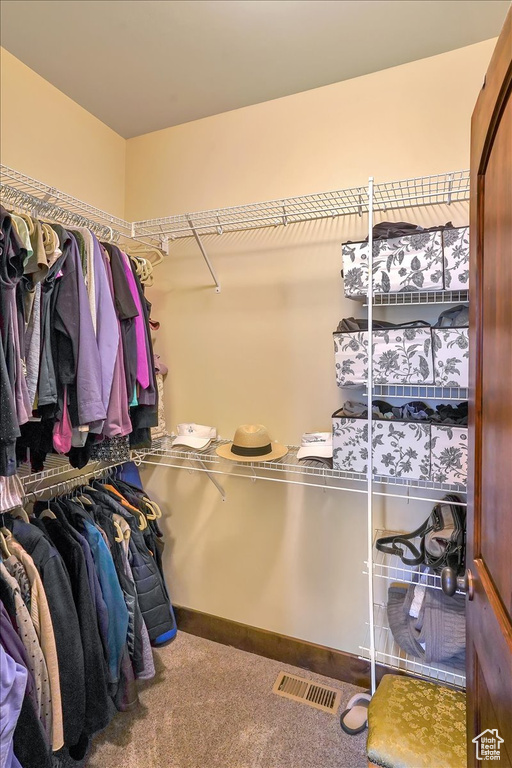 Spacious closet featuring carpet