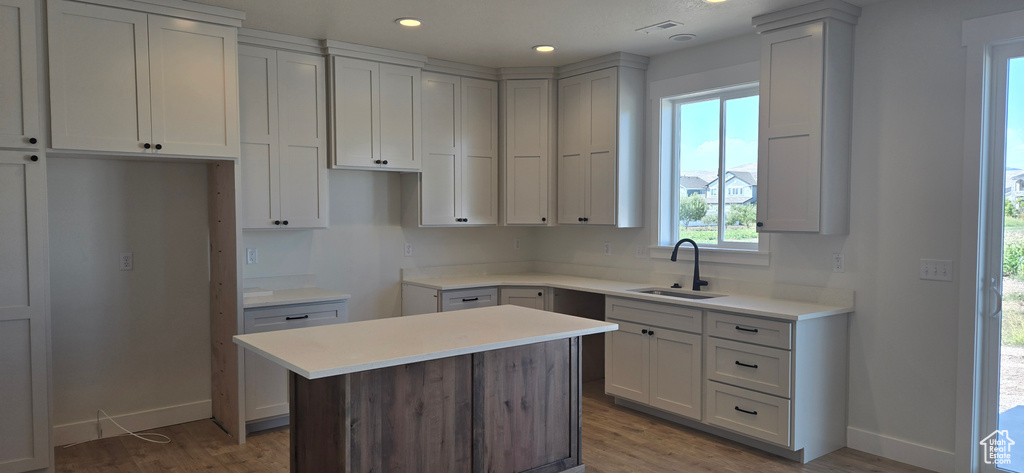 Kitchen featuring a center island, sink, and hardwood / wood-style floors