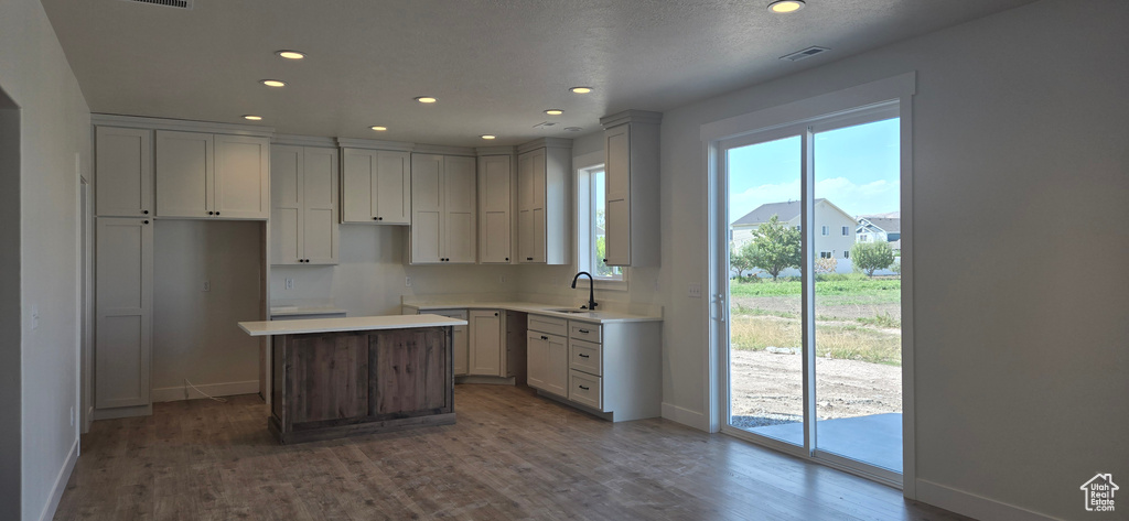 Kitchen with a center island, dark hardwood / wood-style flooring, and sink