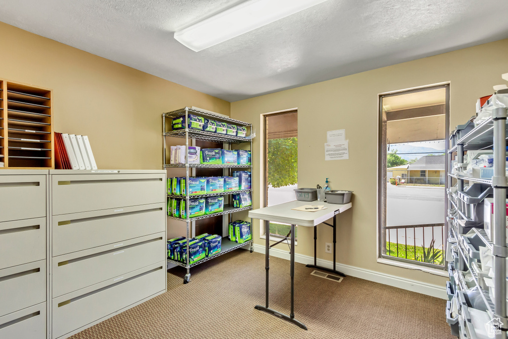 Carpeted office space with a healthy amount of sunlight and a textured ceiling