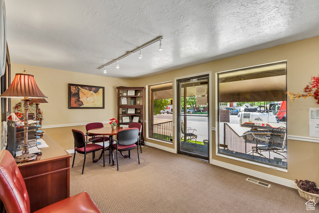 Dining room with carpet, a textured ceiling, and rail lighting