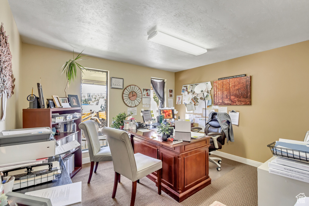 Carpeted home office with a textured ceiling