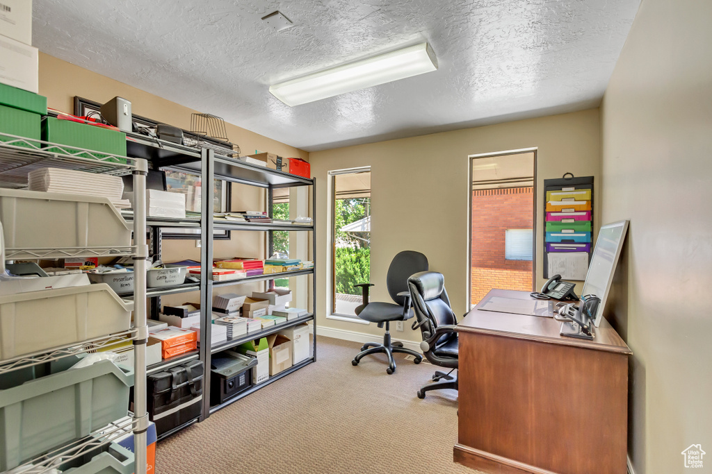 Carpeted home office with a textured ceiling