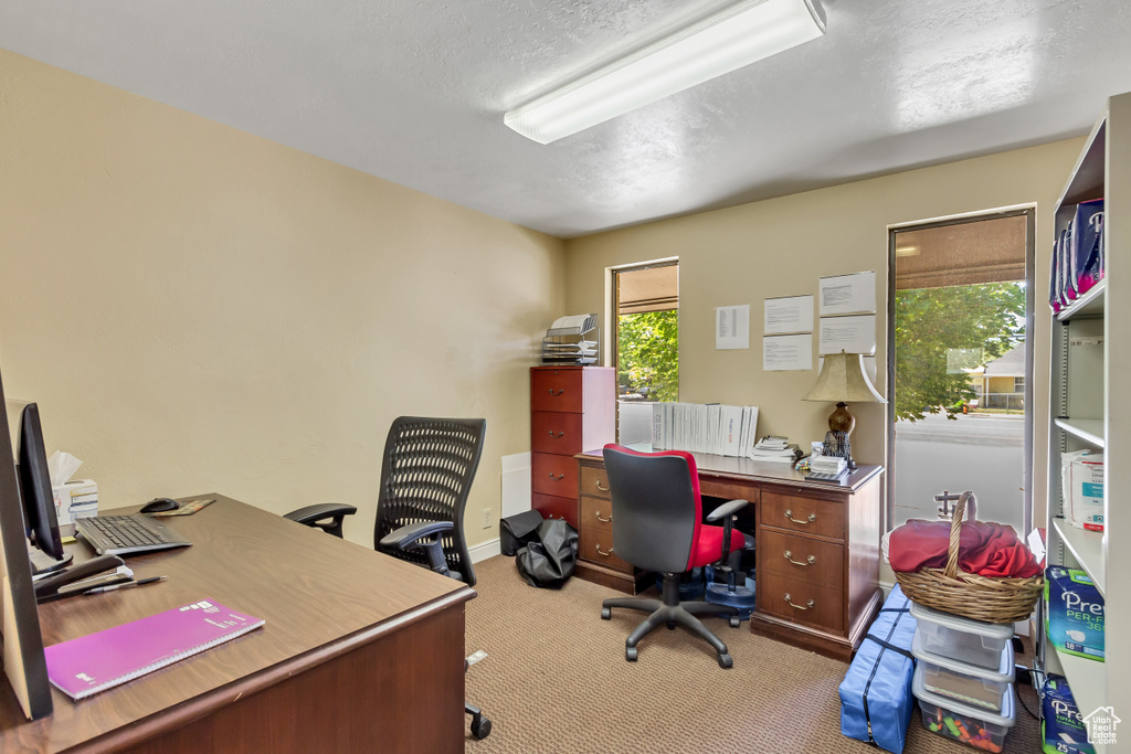 Office with a textured ceiling and carpet floors