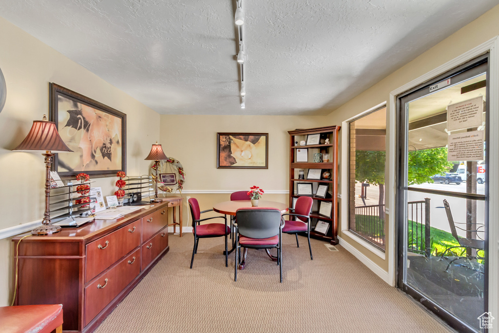 Home office featuring a textured ceiling, light carpet, and rail lighting