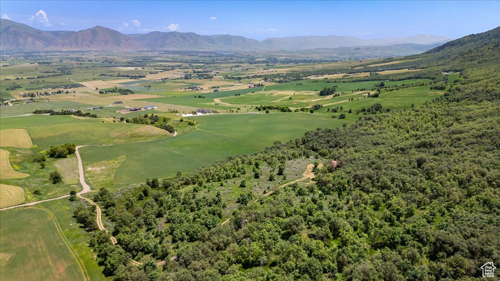 Drone / aerial view featuring a mountain view