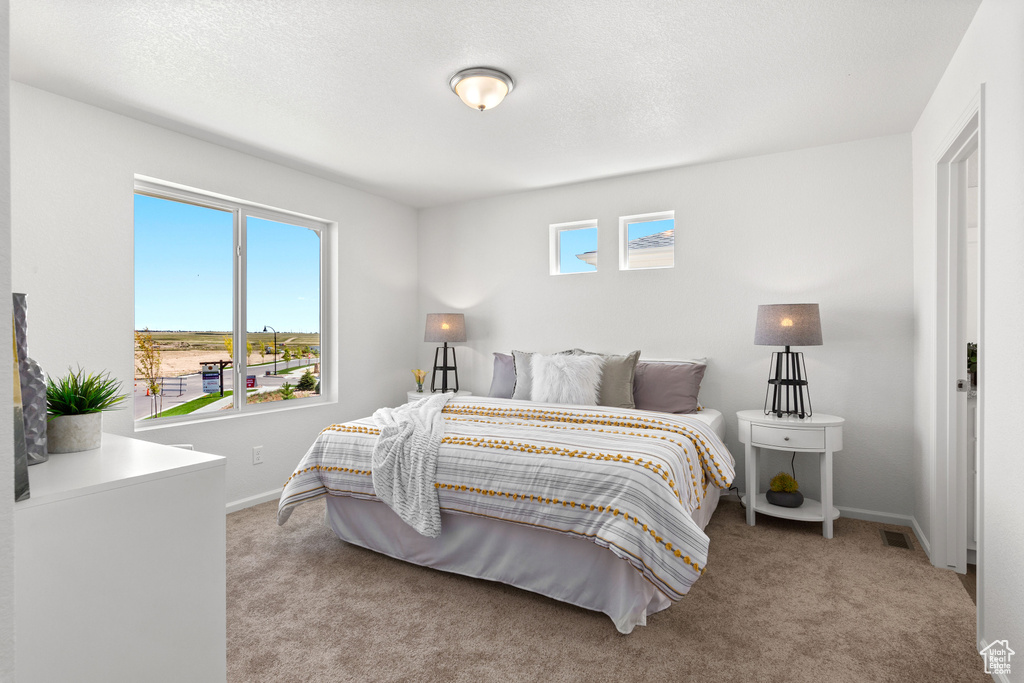 Bedroom with light carpet and multiple windows