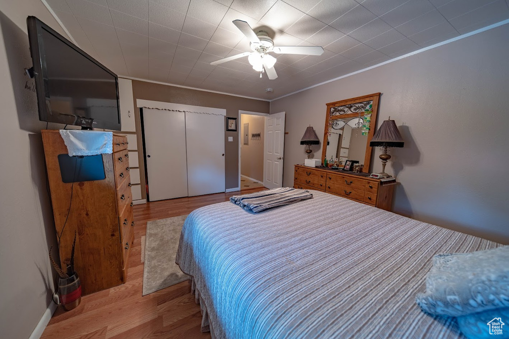 Bedroom with ceiling fan, a closet, light hardwood / wood-style floors, and crown molding