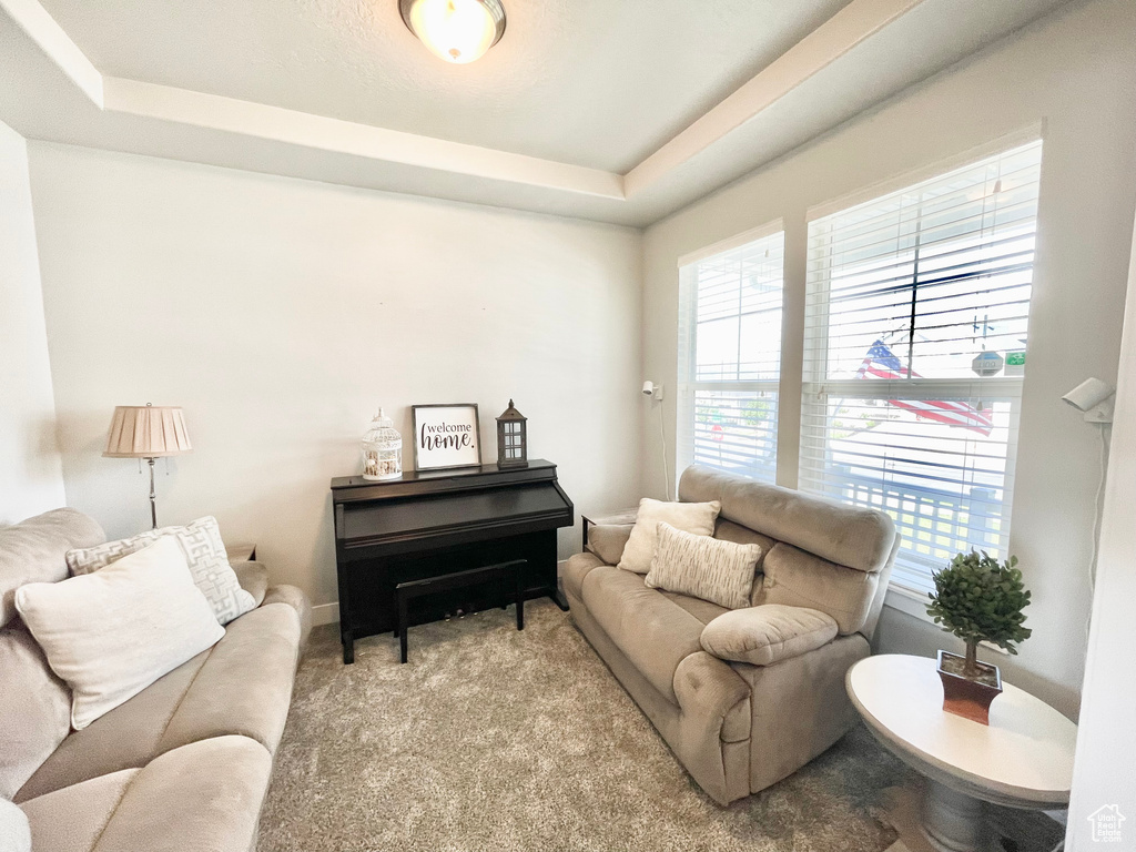 Carpeted living room featuring a tray ceiling