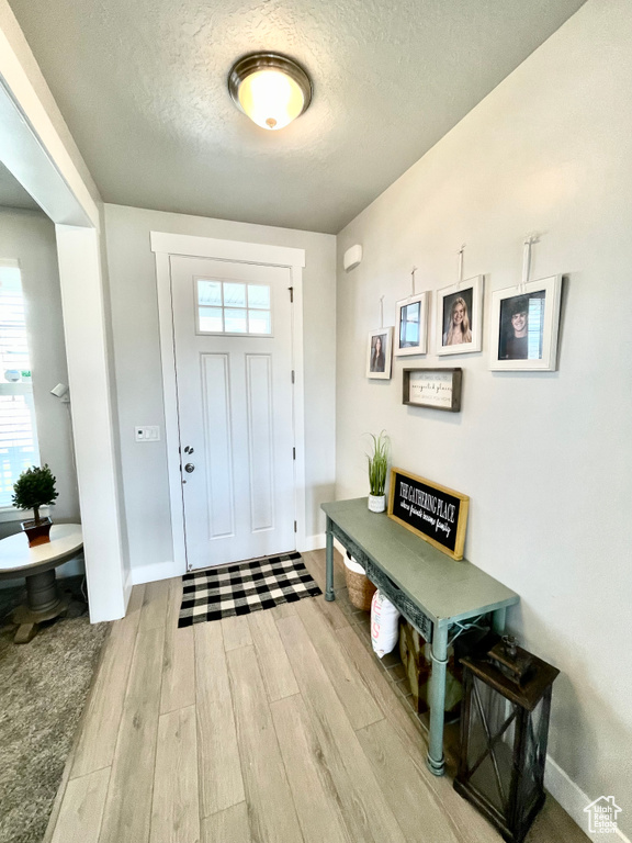 Entrance foyer with a wealth of natural light, a textured ceiling, and light hardwood / wood-style flooring