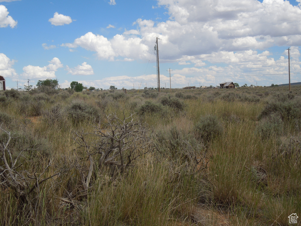 View of local wilderness featuring a rural view