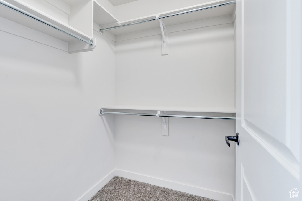 Walk in closet featuring carpet flooring