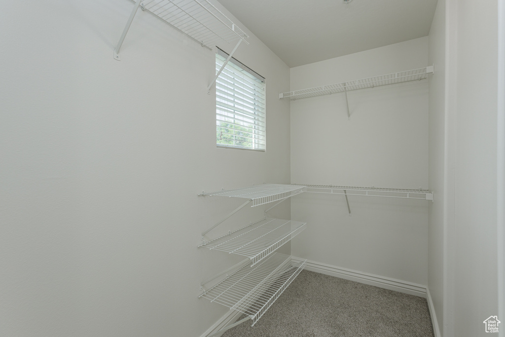 Walk in closet featuring carpet flooring