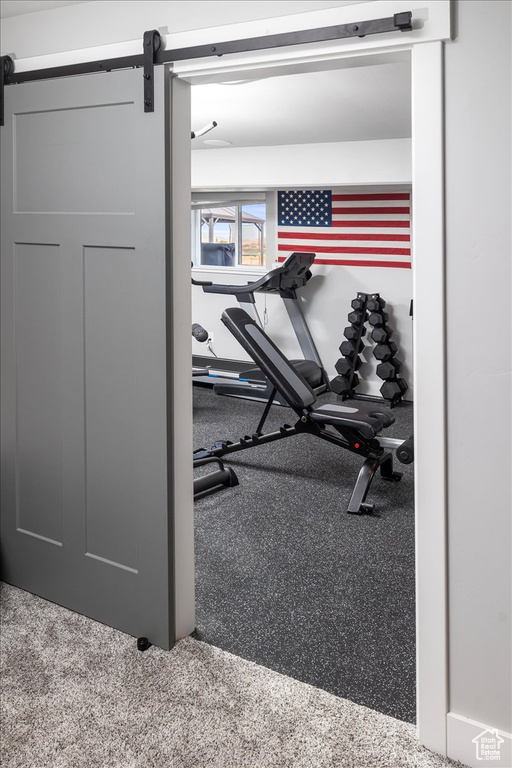 Exercise area featuring a barn door