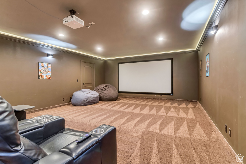 Carpeted cinema room featuring crown molding