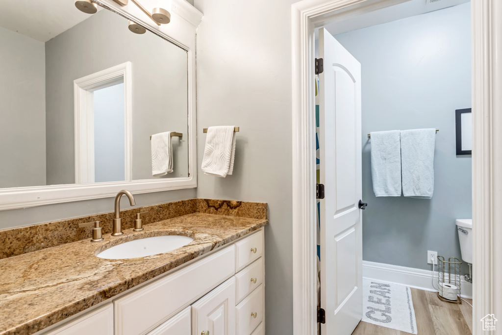 Bathroom featuring toilet, vanity, and wood-type flooring