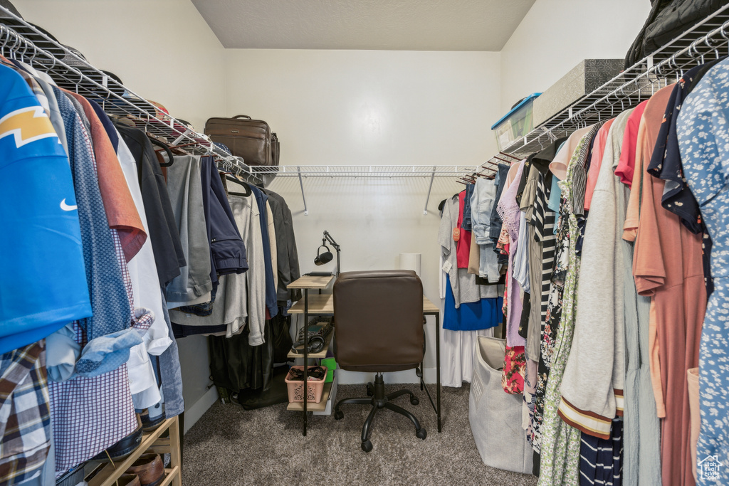 Spacious closet with carpet floors