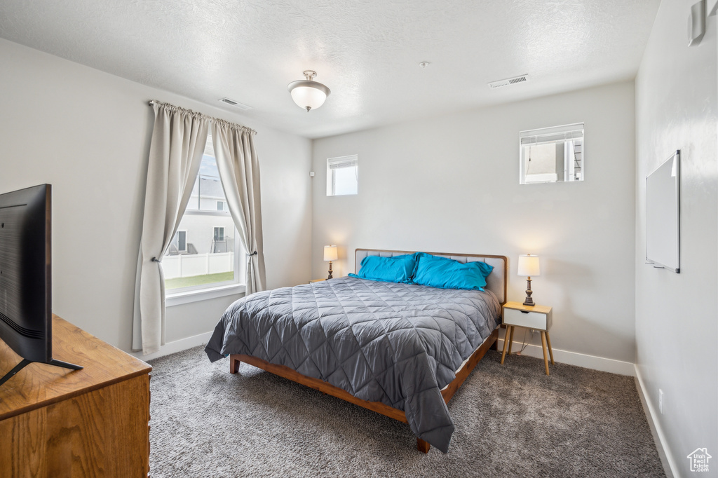 Carpeted bedroom featuring a textured ceiling and multiple windows