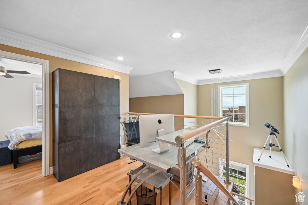 Dining space featuring ceiling fan, crown molding, and light wood-type flooring