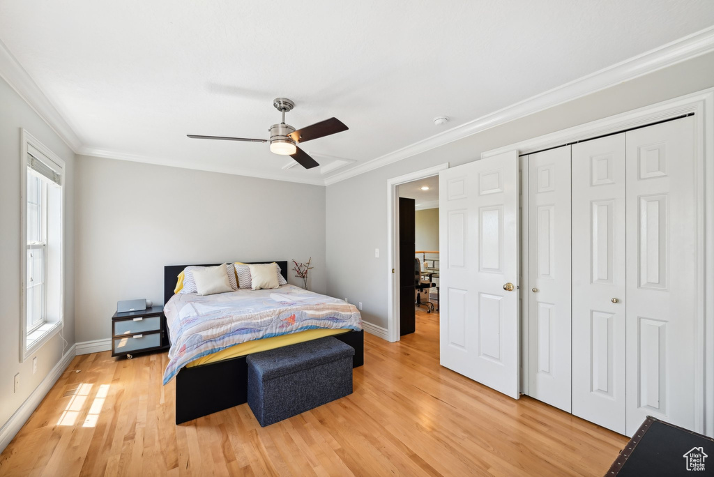 Bedroom featuring crown molding, a closet, ceiling fan, and light hardwood / wood-style flooring