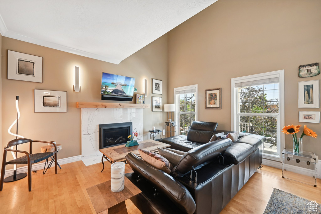 Living room with a premium fireplace, high vaulted ceiling, and light hardwood / wood-style flooring