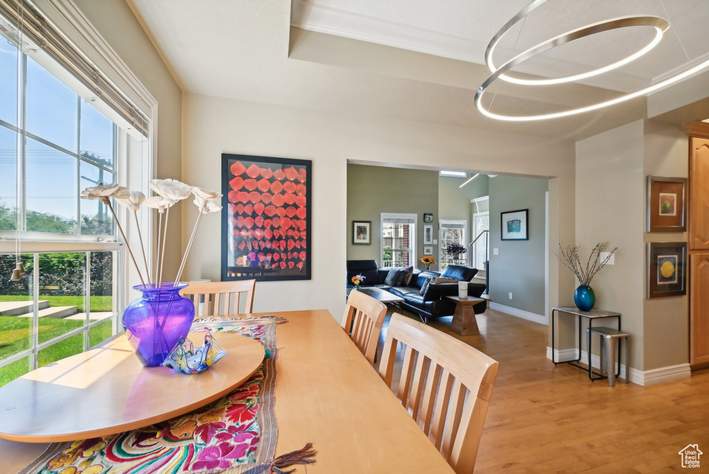 Dining area featuring a tray ceiling, a healthy amount of sunlight, and hardwood / wood-style floors