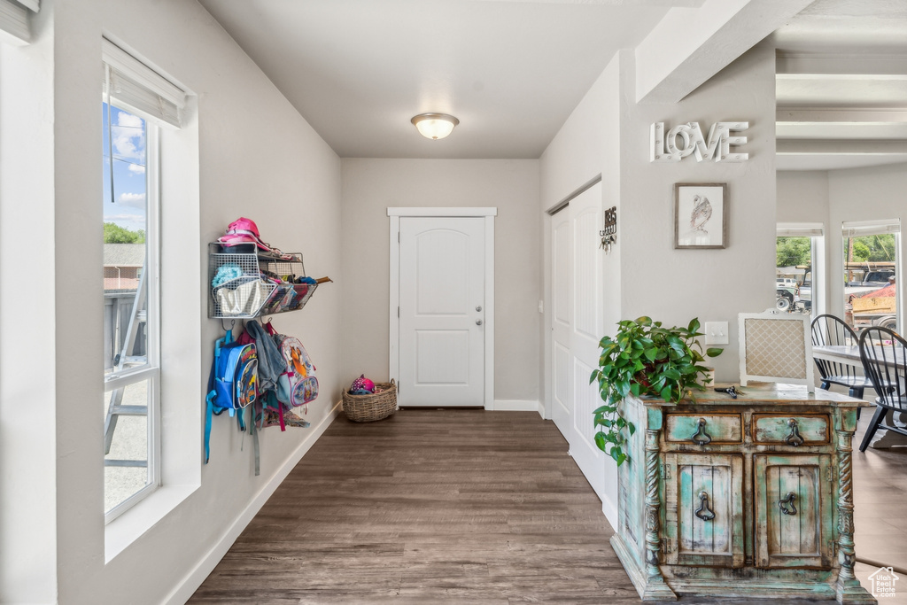 Foyer entrance with dark hardwood / wood-style floors