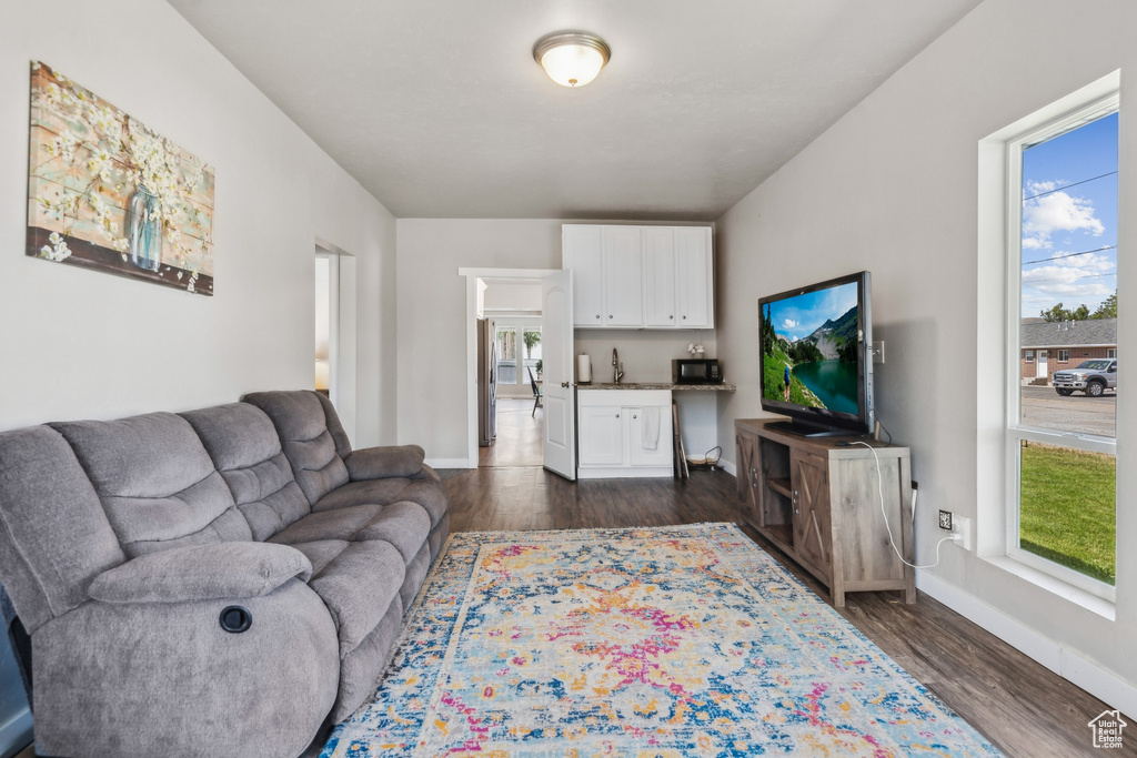 Living room featuring dark hardwood / wood-style floors, sink, and a wealth of natural light