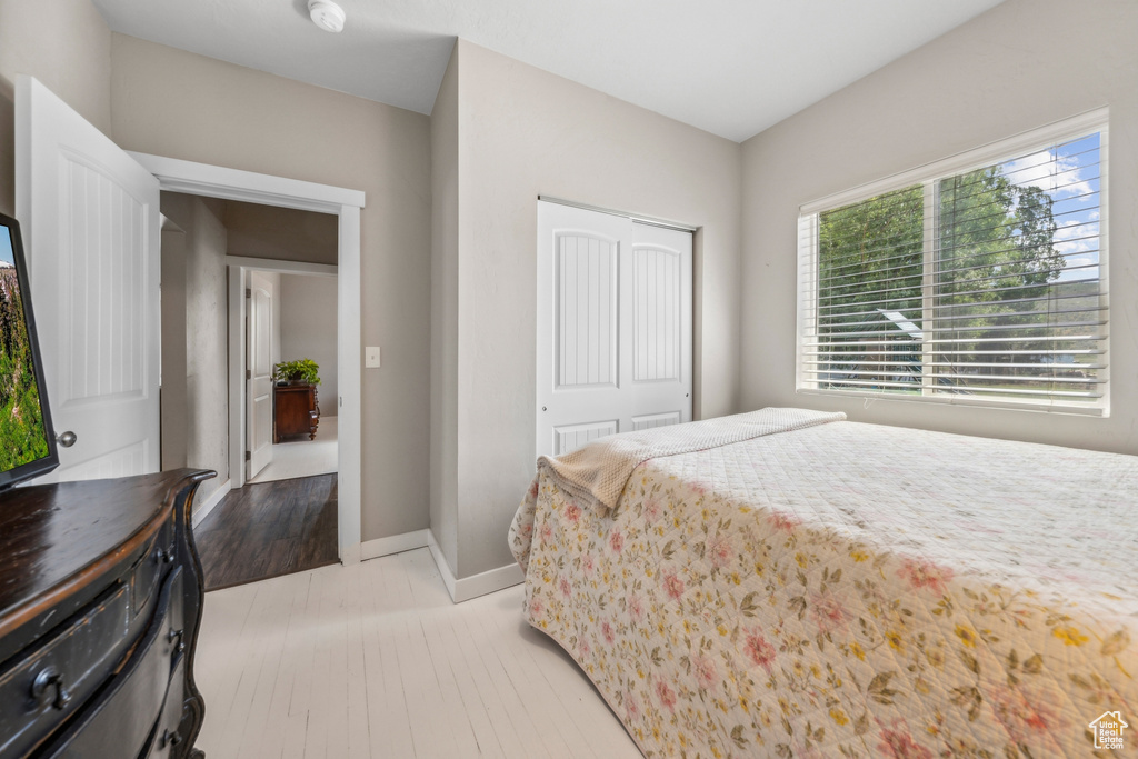 Bedroom with a closet and hardwood / wood-style floors