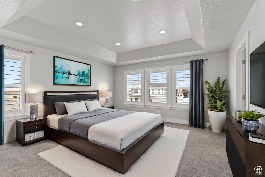 Carpeted bedroom with a raised ceiling and a textured ceiling