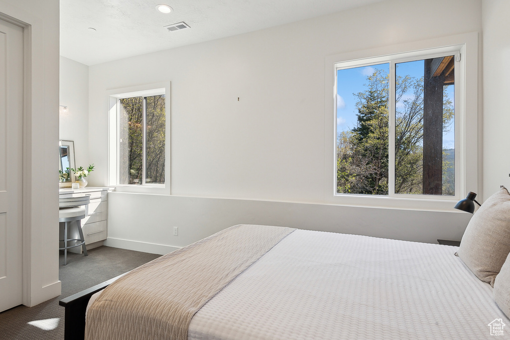 Carpeted bedroom featuring multiple windows and baseboards