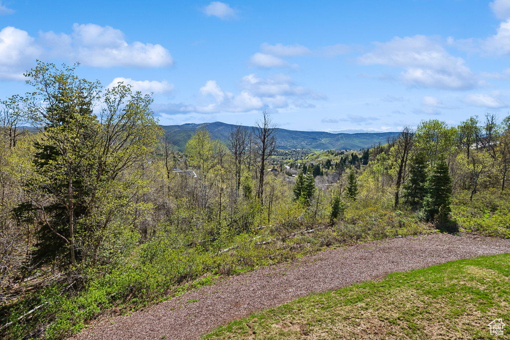 View of mountain backdrop