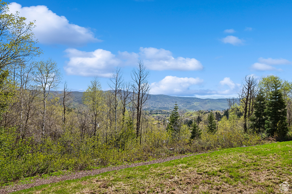 View of mountain backdrop with a heavily wooded area