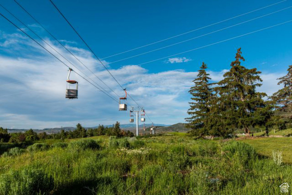 View of local wilderness