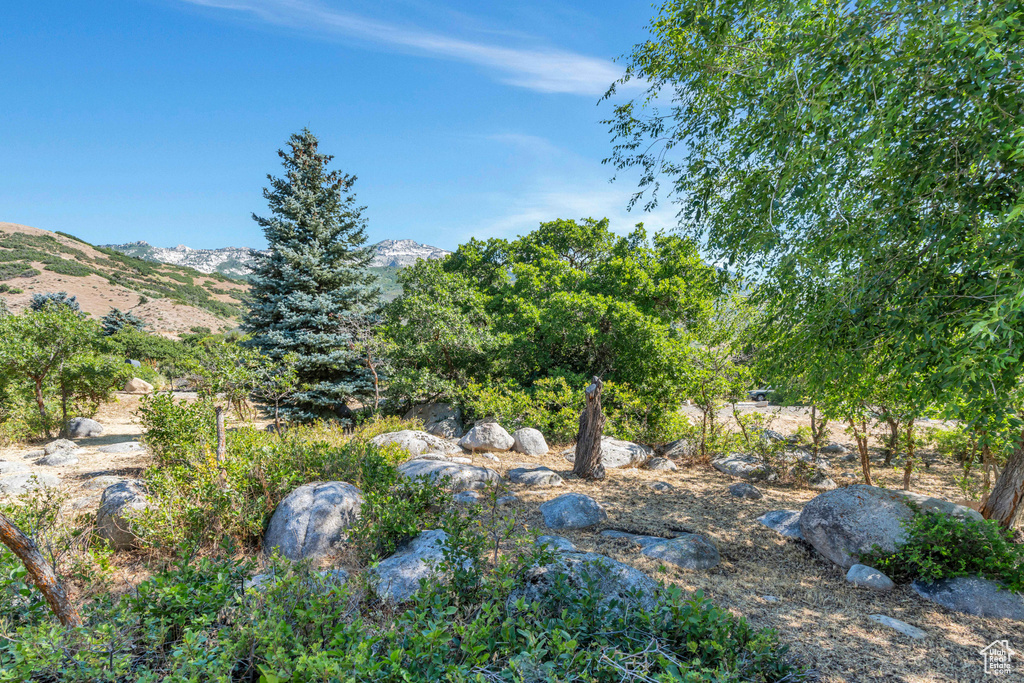 View of yard featuring a mountain view