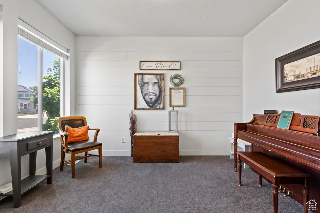 Sitting room featuring a wealth of natural light and dark carpet