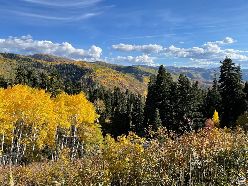 View of mountain feature