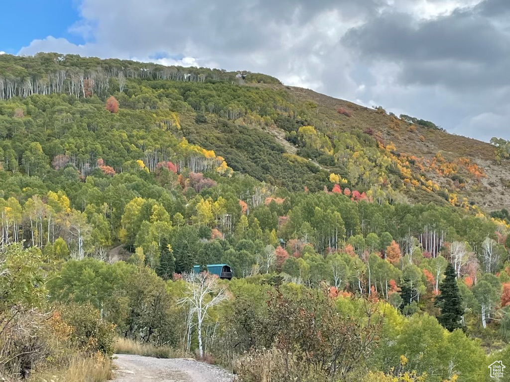 View of mountain view