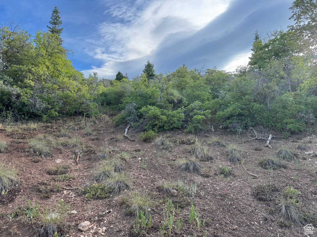 330  QUAKING HOLLOW RD Mt Pleasant, UT 84647