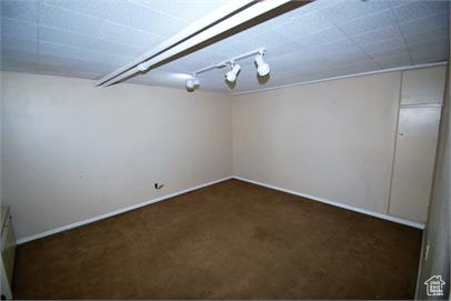 Basement with track lighting and carpet