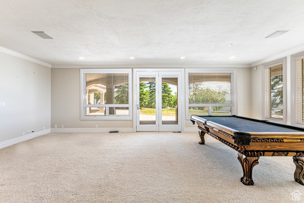 Game room with ornamental molding, a healthy amount of sunlight, carpet floors, and pool table