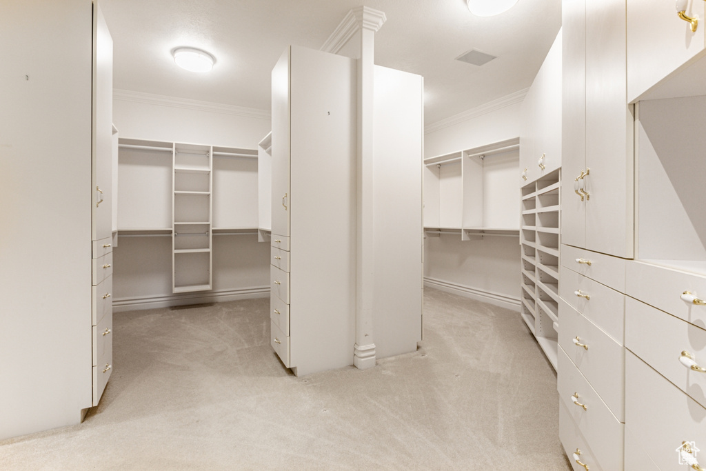 Spacious closet featuring light carpet