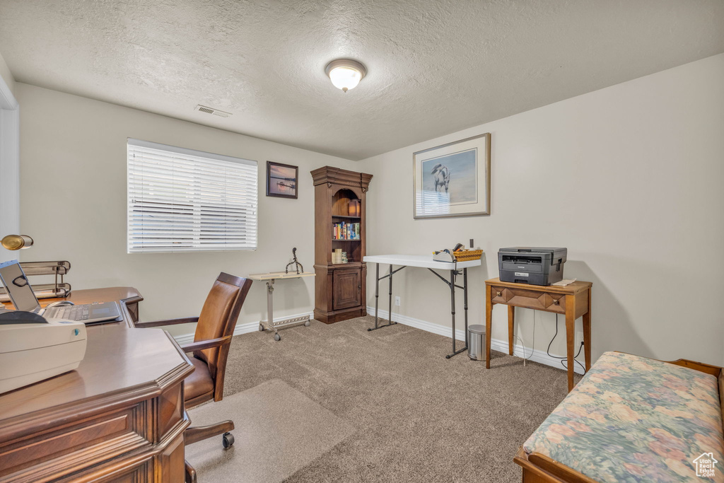 Office featuring carpet and a textured ceiling