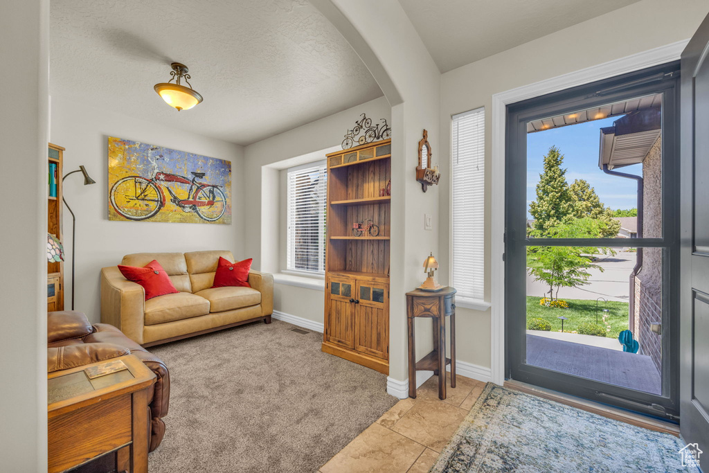 Living room with a wealth of natural light and light colored carpet