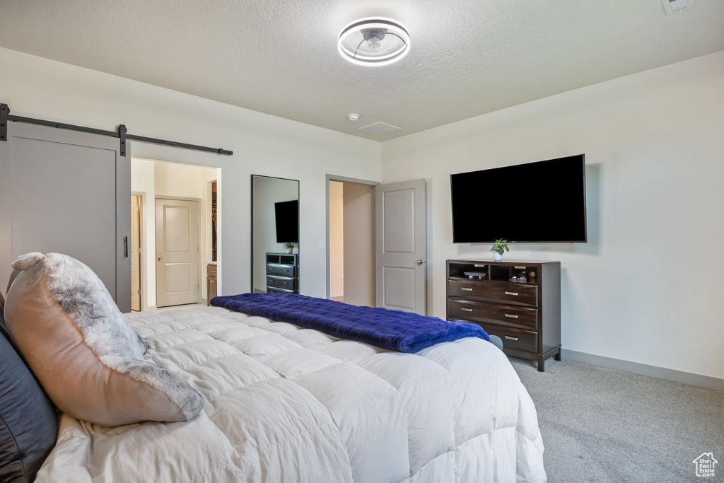 Carpeted bedroom with a barn door