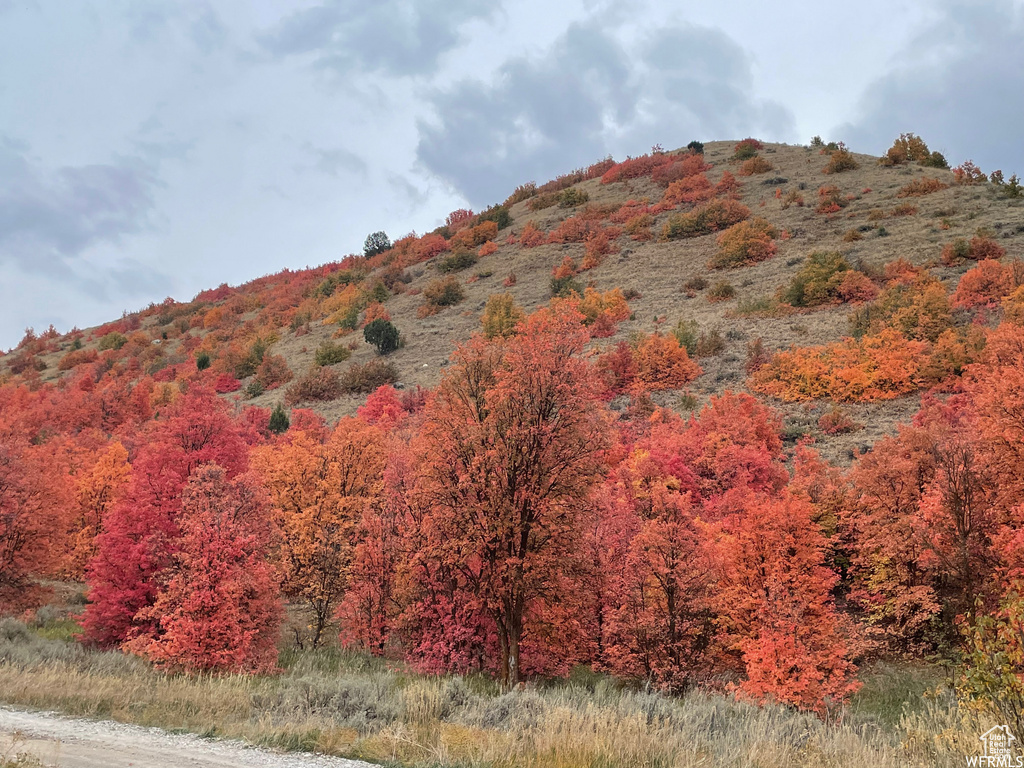 View of mountain view