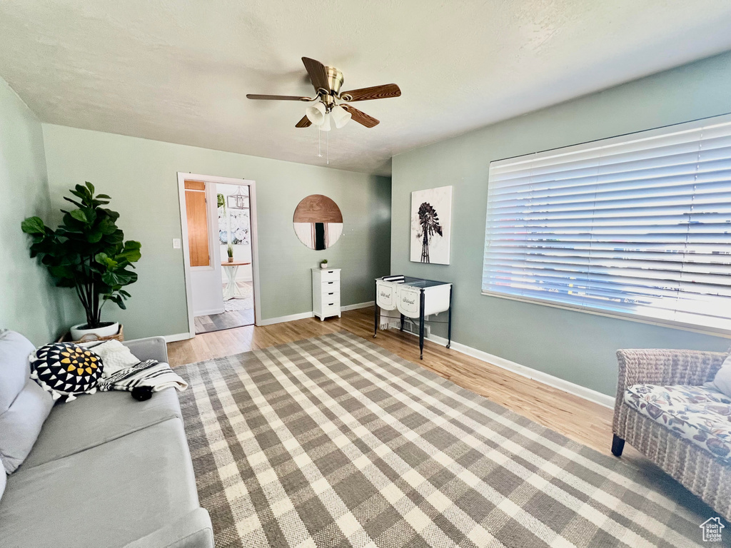 Living room featuring wood-type flooring and ceiling fan