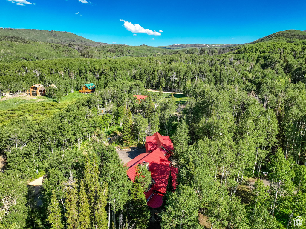 Birds eye view of property with a mountain view